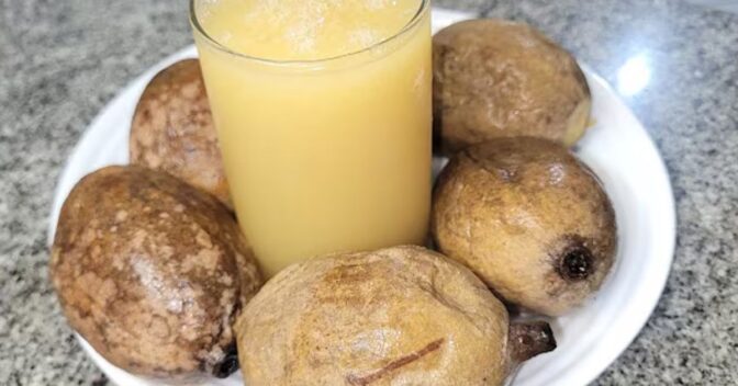 Drinks: Receita de Suco de Jenipapo com Leite para Refrescar