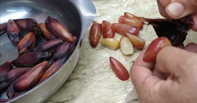 Panela de Pressão: Como fazer pinhão na pressão em 25 minutos (depois de mergulhado)