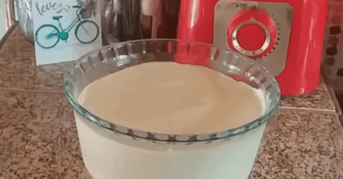Sobremesas: A forma mais simples para fazer essa receita de Mousse de Cupuaçu para ficar divino