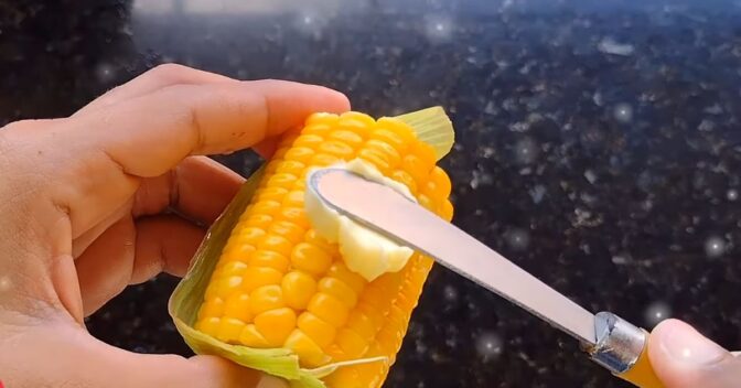 Panela de Pressão: Como cozinhar milho verde? Aprenda o jeito certo e tenha o milho perfeito para servir
